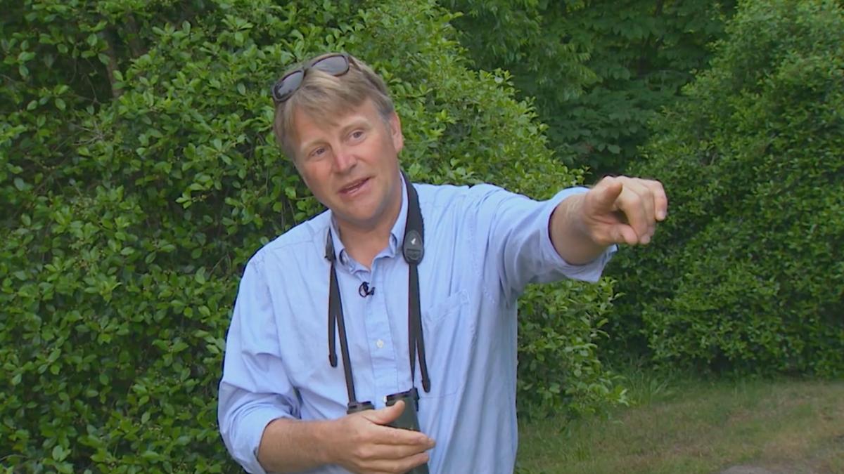 Sound – The Fullness of Nature, Part 1