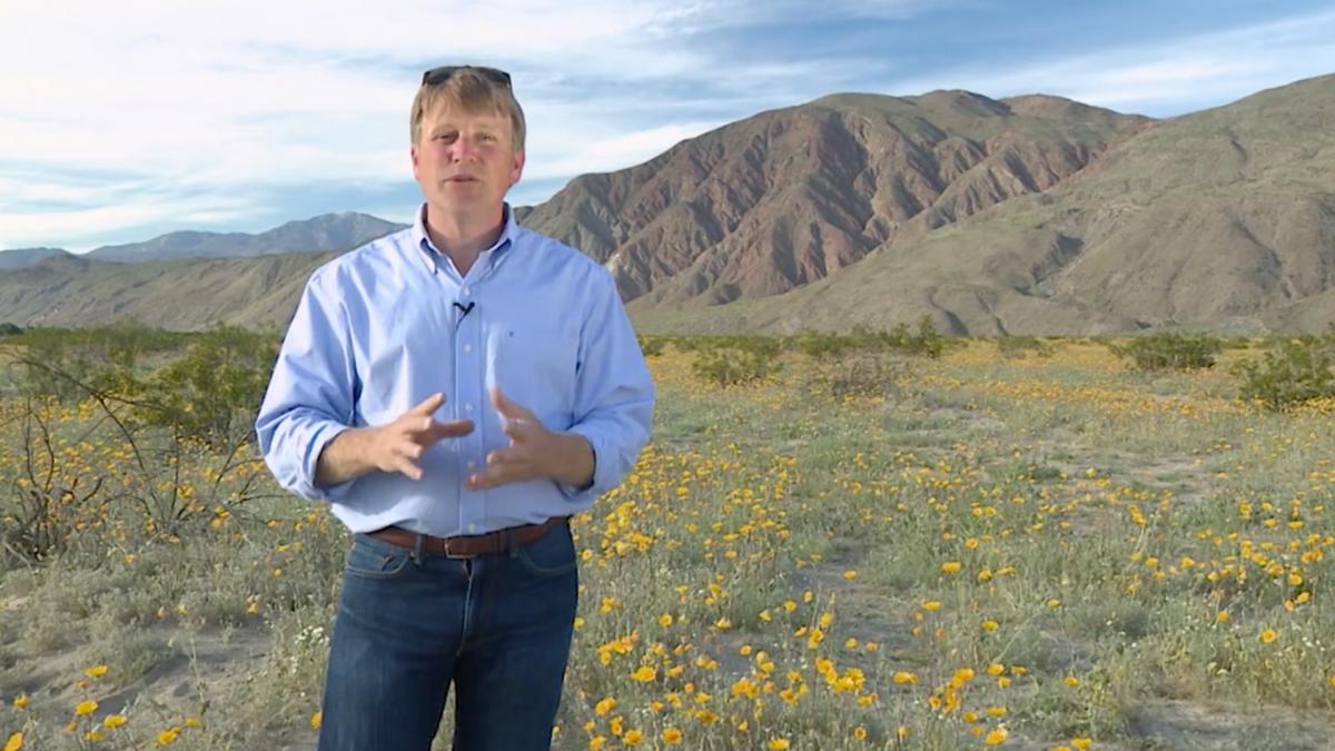 California Superbloom – A World of Dramatic Change.