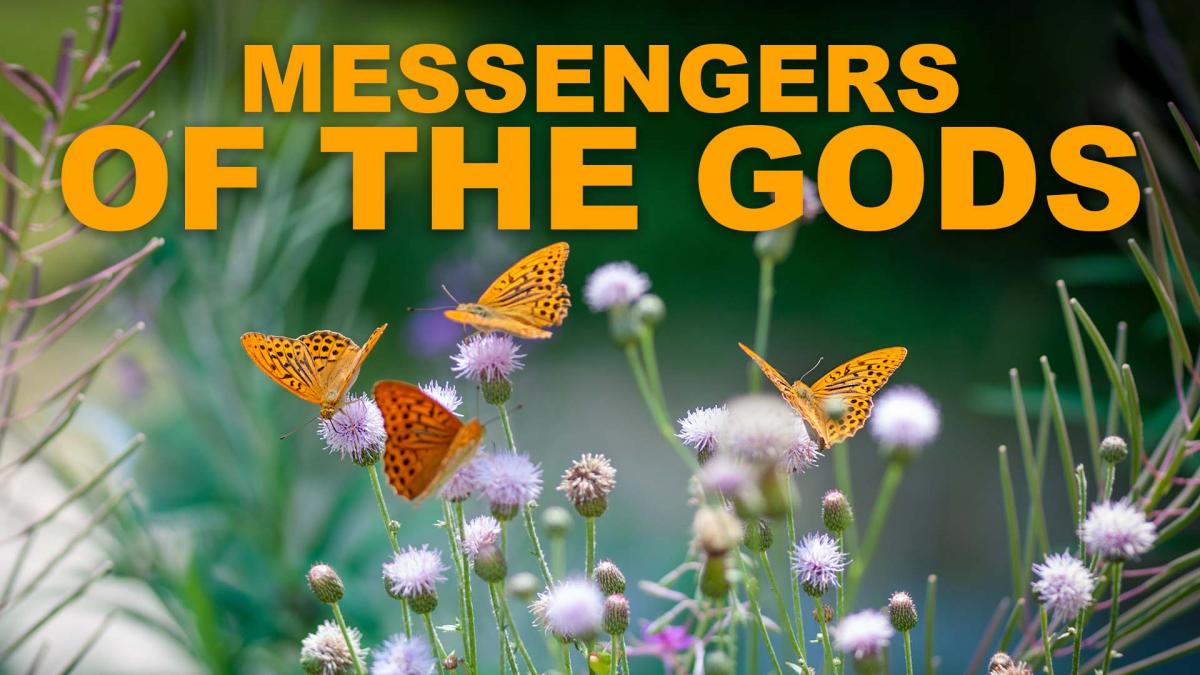 Messengers of the Gods