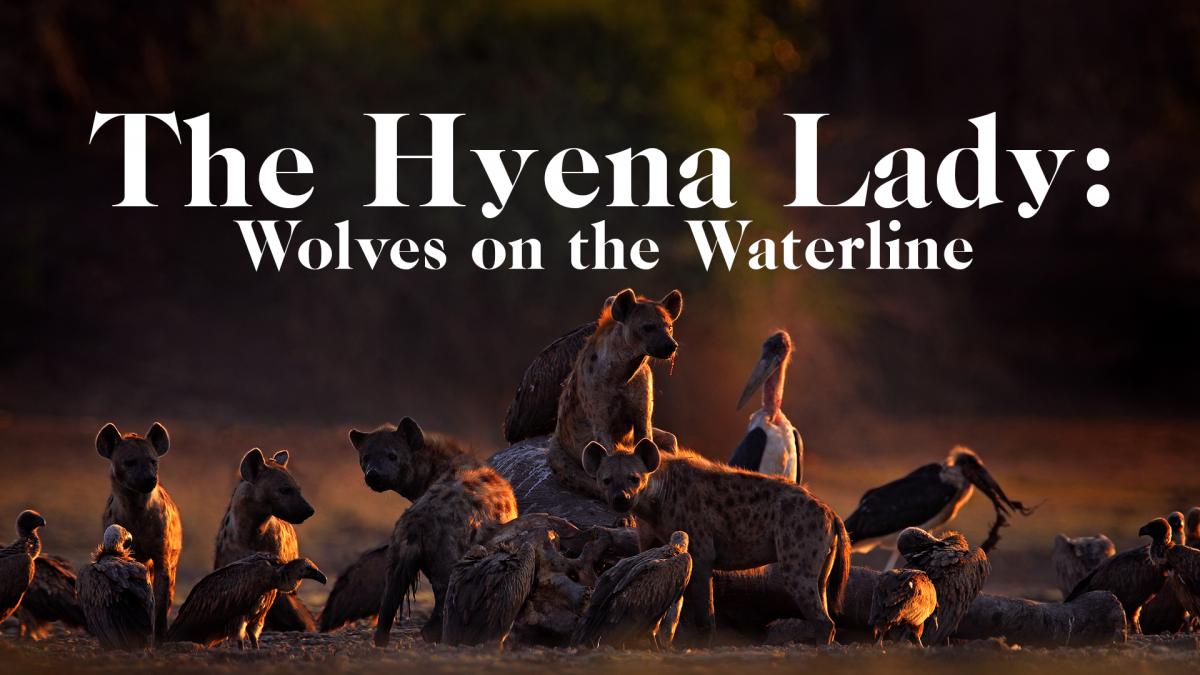 The Hyena Lady - Wolves on the Waterline