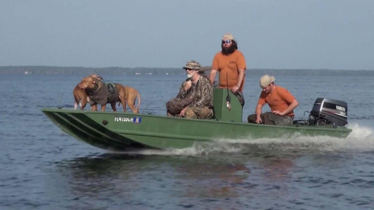 The Island Boar