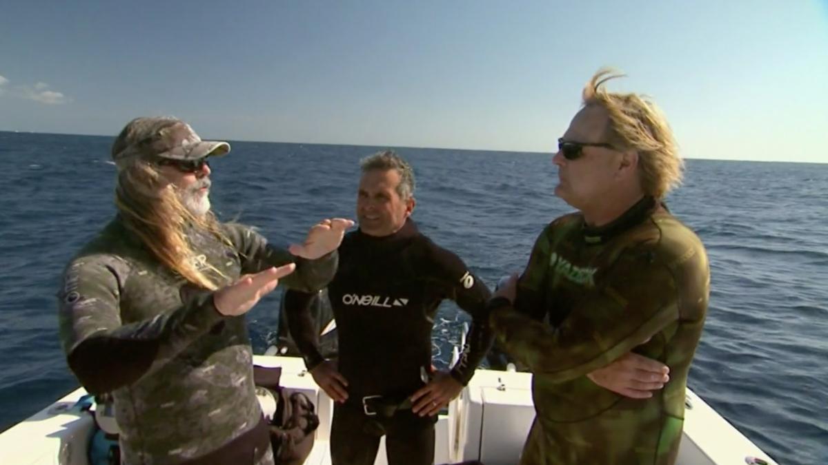 Sharks of the Gulf Stream