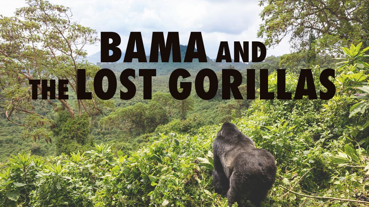 Bama and the Lost Gorillas