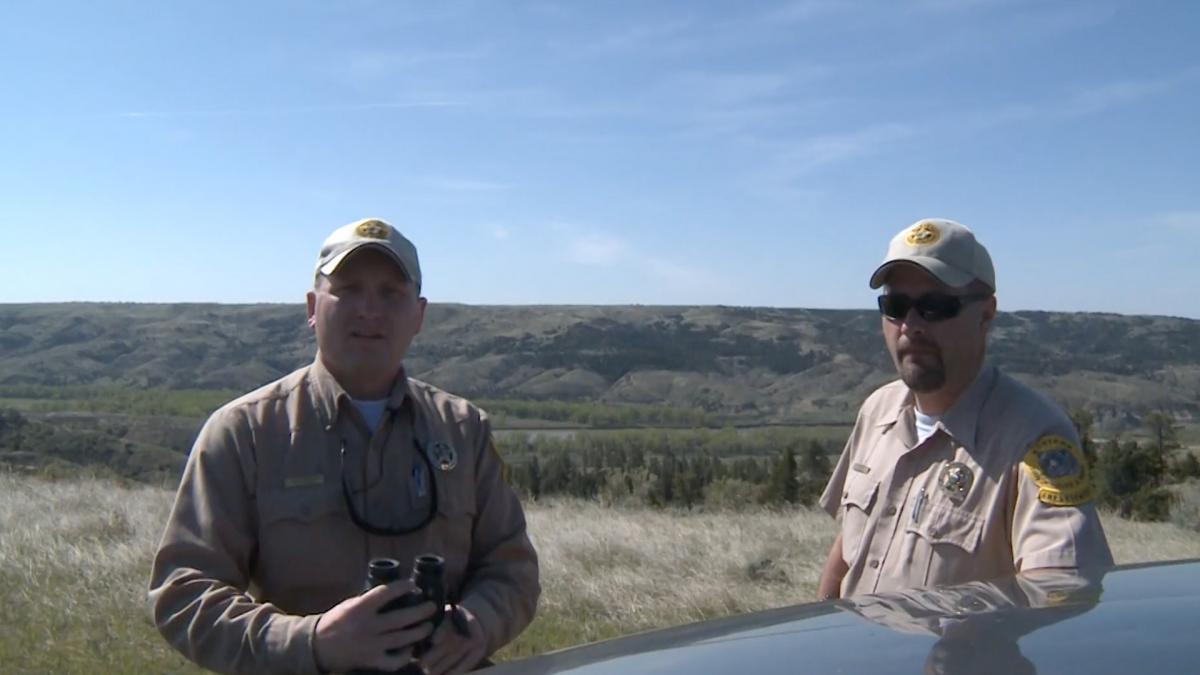 Operation Paddlefish
