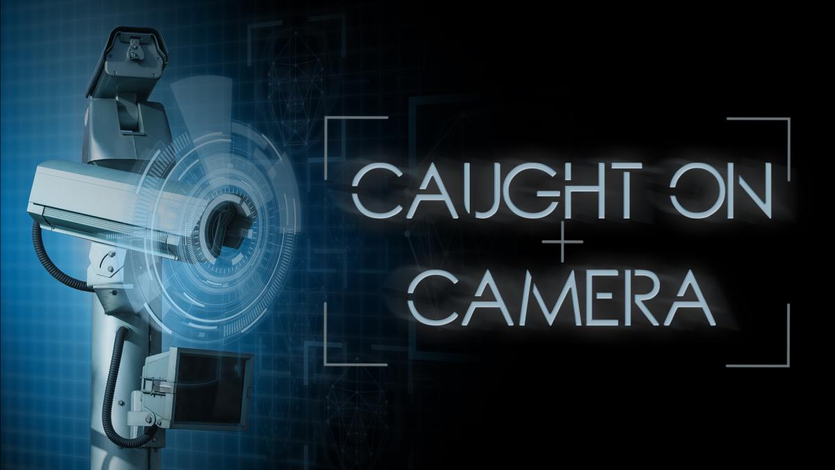 Caught on Camera