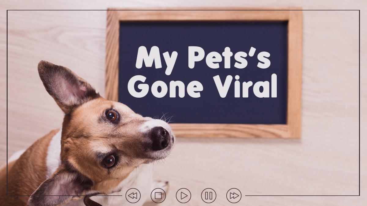 My Pet's Gone Viral