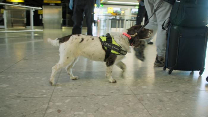 Heathrow