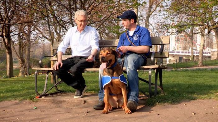 Paul O'Grady: For the Love of Dogs